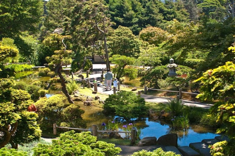 San Francisco Japanese Tea Garden